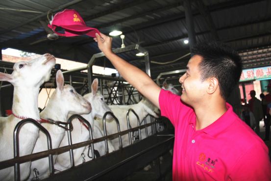 首页-SBOBET利记集团官方网站