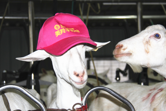 首页-SBOBET利记集团官方网站