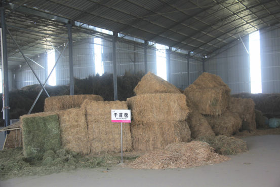 首页-SBOBET利记集团官方网站