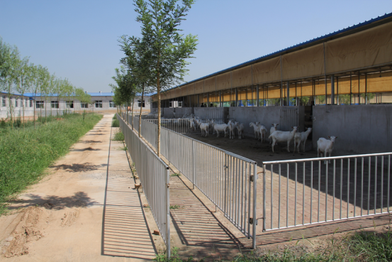 首页-SBOBET利记集团官方网站