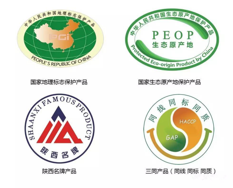 首页-SBOBET利记集团官方网站