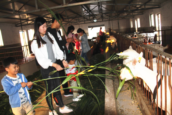 首页-SBOBET利记集团官方网站