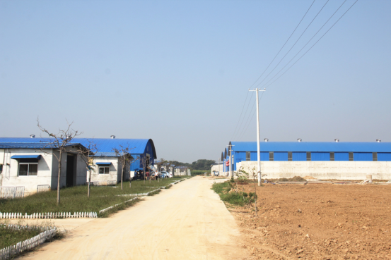 首页-SBOBET利记集团官方网站