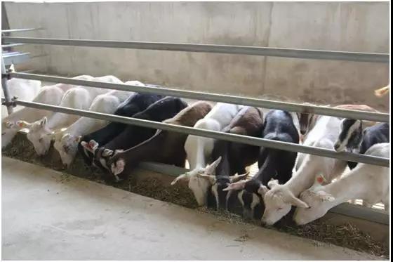 首页-SBOBET利记集团官方网站