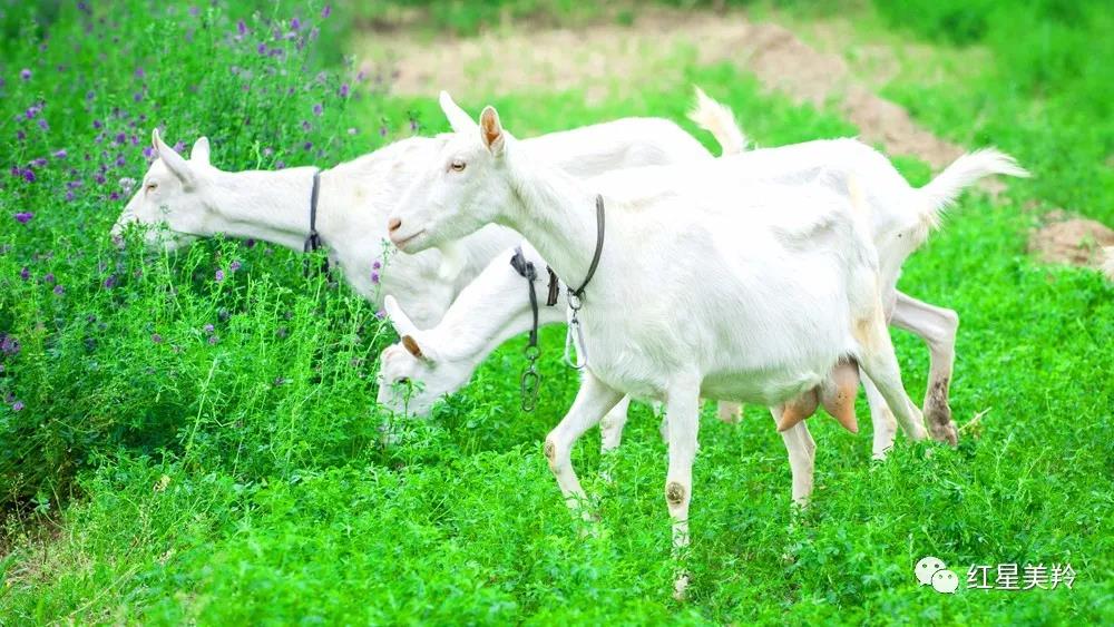 首页-SBOBET利记集团官方网站