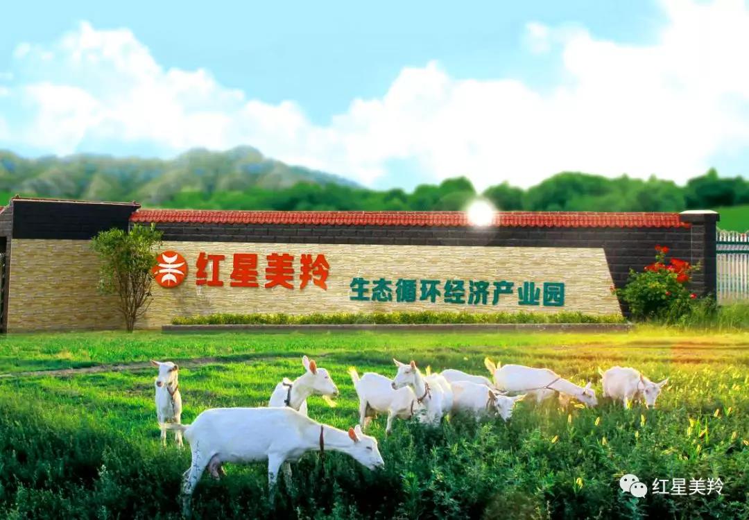 首页-SBOBET利记集团官方网站