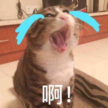 首页-SBOBET利记集团官方网站