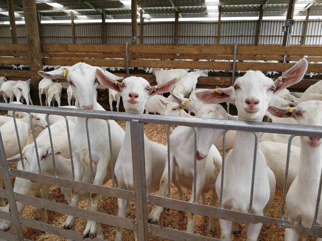 首页-SBOBET利记集团官方网站