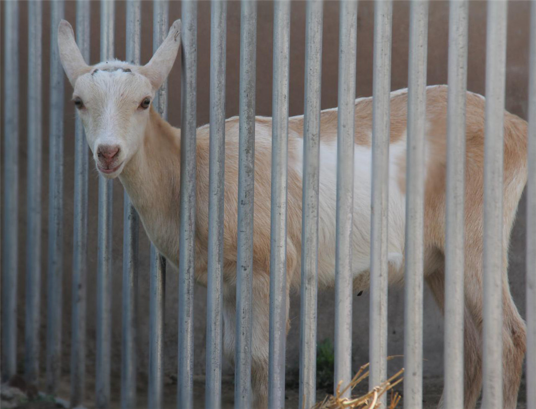首页-SBOBET利记集团官方网站